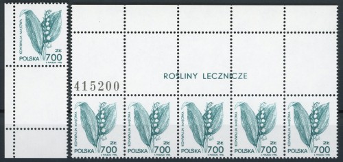 Fi. 3177 Rośliny lecznicze pustopole
