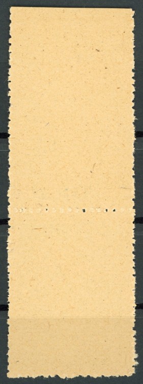 Fi. 402 600-lecie Bydgoszczy - tył