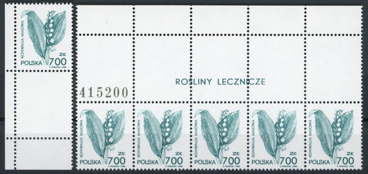 Fi. 3177 Rośliny lecznicze pustopole
