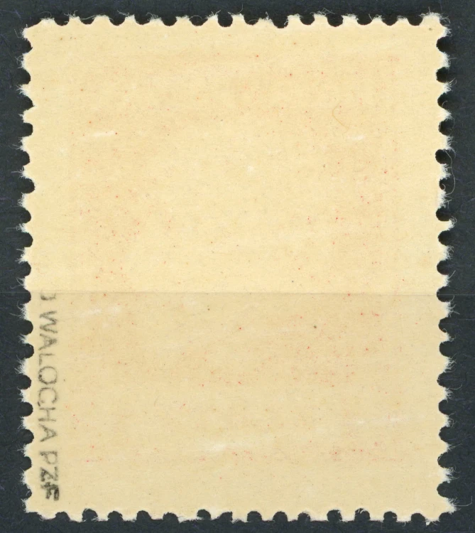 Fi. 193 Stanisław Wojciechowski - tył
