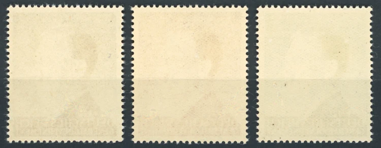 1534a.jpg