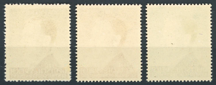 1535a.jpg
