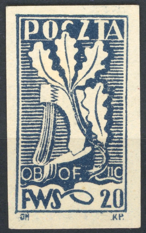 1562.jpg