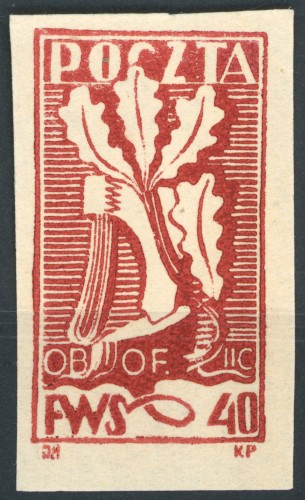 1563.jpg