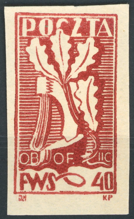 1563.jpg