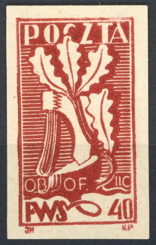 1564.jpg