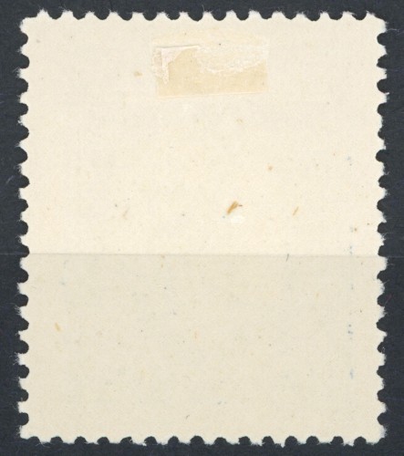 2131a.jpg