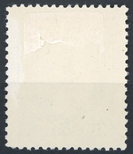 2135a.jpg