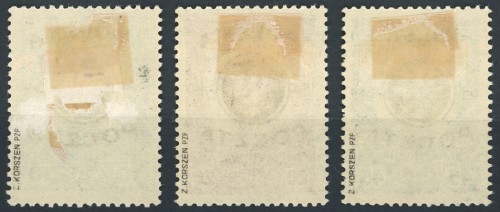 2007a.jpg