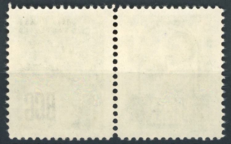 2295a.jpg