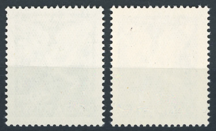2364a.jpg