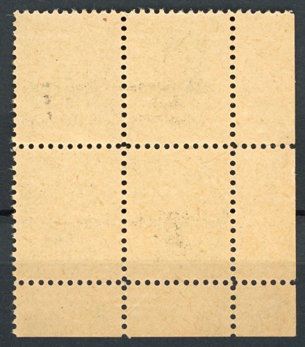 1544a.jpg